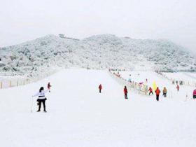 天津體育局學(xué)習(xí)《關(guān)于以2022年北京冬奧會(huì)為契機(jī)大力發(fā)展冰雪運(yùn)動(dòng)的意見》