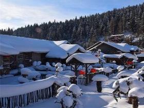 中國(guó)冰雪旅游推廣聯(lián)盟工作會(huì)議舉行 7?。▍^(qū)市）17家企業(yè)成首批會(huì)員單位