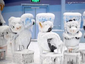 春城也有藍(lán)海冰原 我國西部最大城市單體室內(nèi)滑雪場(chǎng)建成