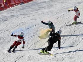 石家莊市參與冰雪活動(dòng)人數(shù)超百萬