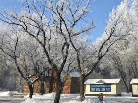 冰與火的變奏——吉林長(zhǎng)春冰雪旅游產(chǎn)業(yè)發(fā)展觀察