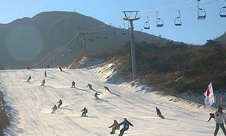 遼寧大連林?；﹫? class=