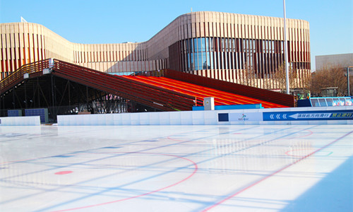 冰雪嘉年華暨ICE（耐思）天津河西惠民冰雪節(jié)