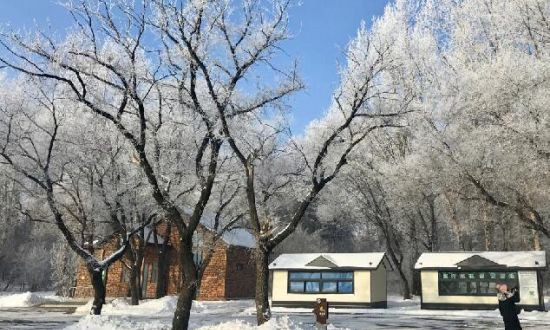 長(zhǎng)春凈月潭現(xiàn)霧凇景觀