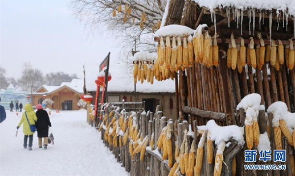 位于吉林省吉林市的霧凇島擁有濃厚的滿族歷史文化背景，游客可在這里觀賞霧凇奇景，體驗獨特民俗