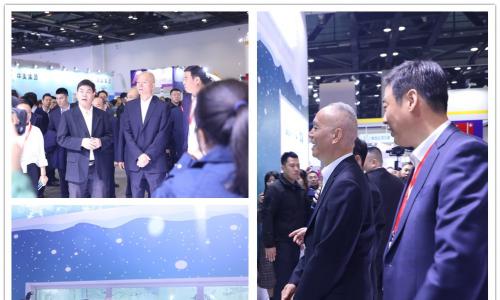 北京市委書記蔡奇等領(lǐng)導蒞臨銘星冰雪2019冬博會展位