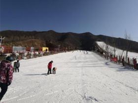 開一家紹興人工滑雪場應(yīng)該找哪家公司合作？